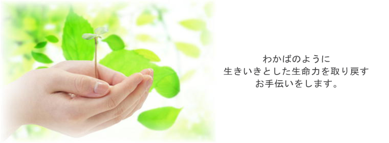 ��t�̂悤�ɐ��������Ƃ��������͂����߂�����`�������܂��B